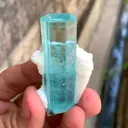 specimen video
