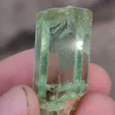 specimen video