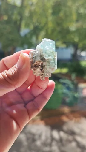 specimen video