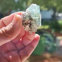 specimen video