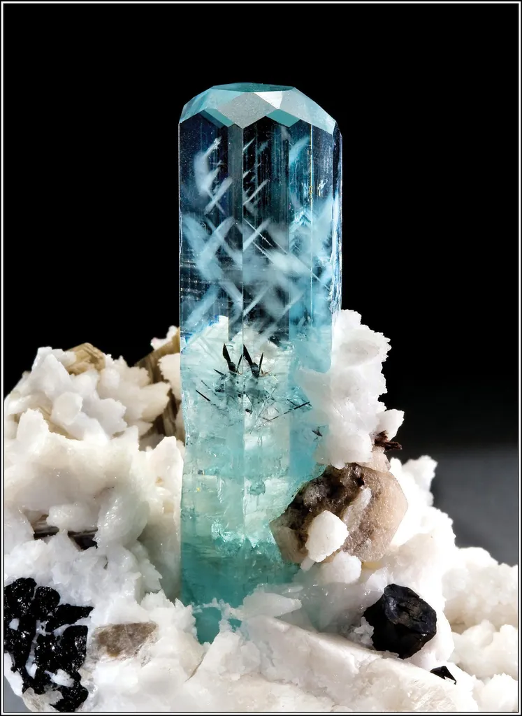 Aquamarine Beryl, Schorl, Albite, Muscovite image