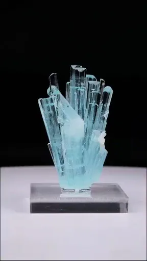 specimen video