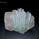 Aquamarine cluster with Quartz from Shigar Pakistan - image 2