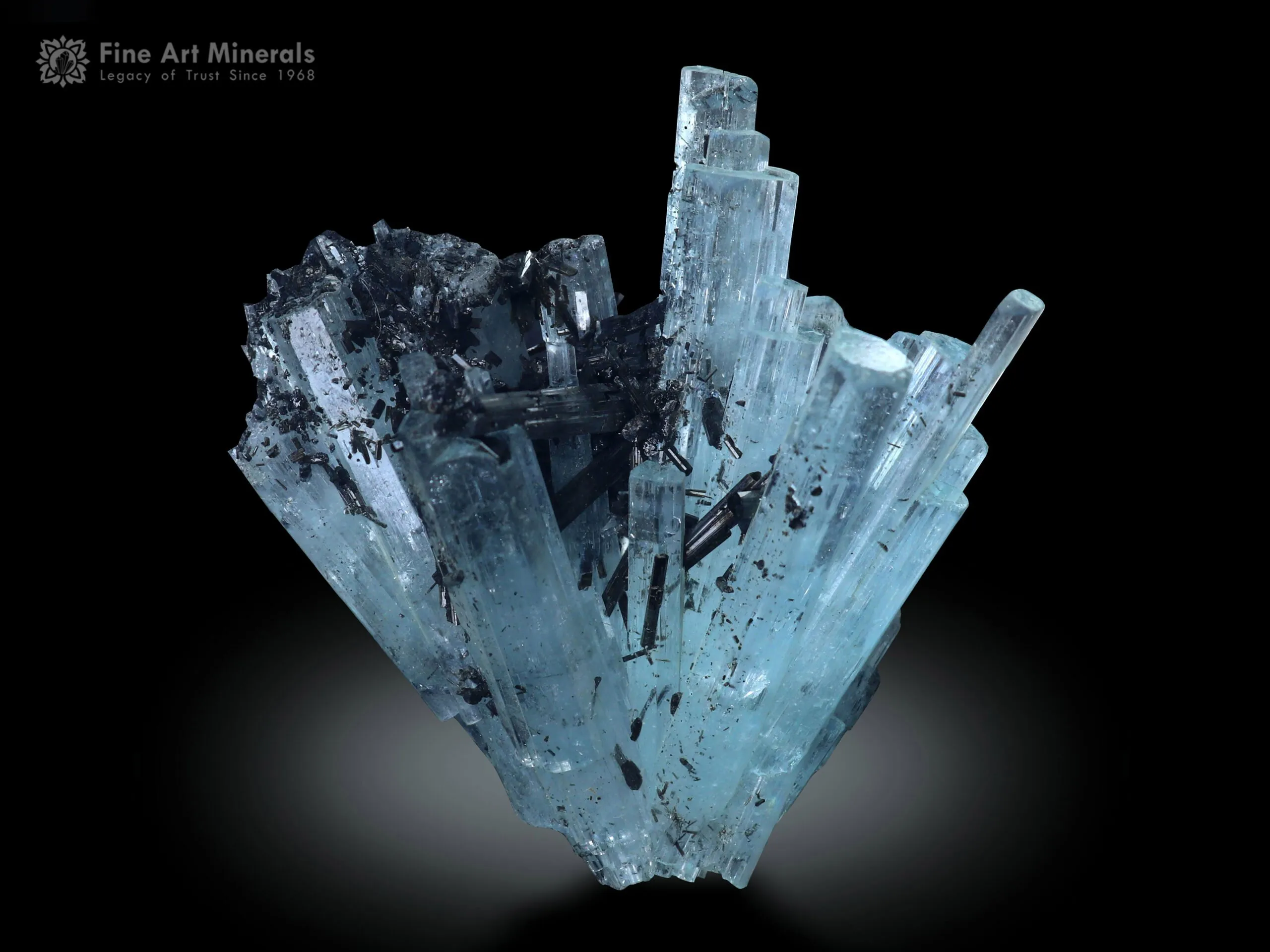 Aquamarine Cluster with Schorl Spray from Shigar Pakistan - image 1