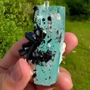 specimen video