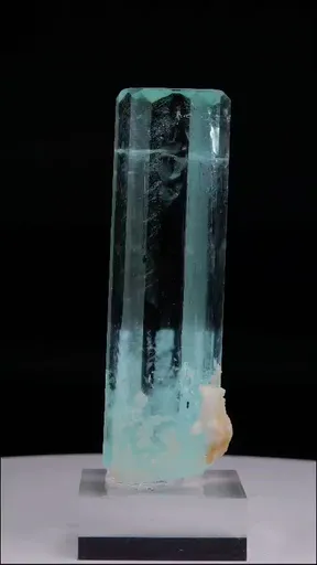 specimen video