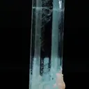 specimen video