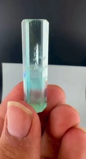 specimen video