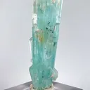 specimen video