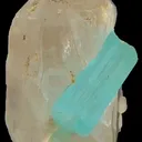 specimen video