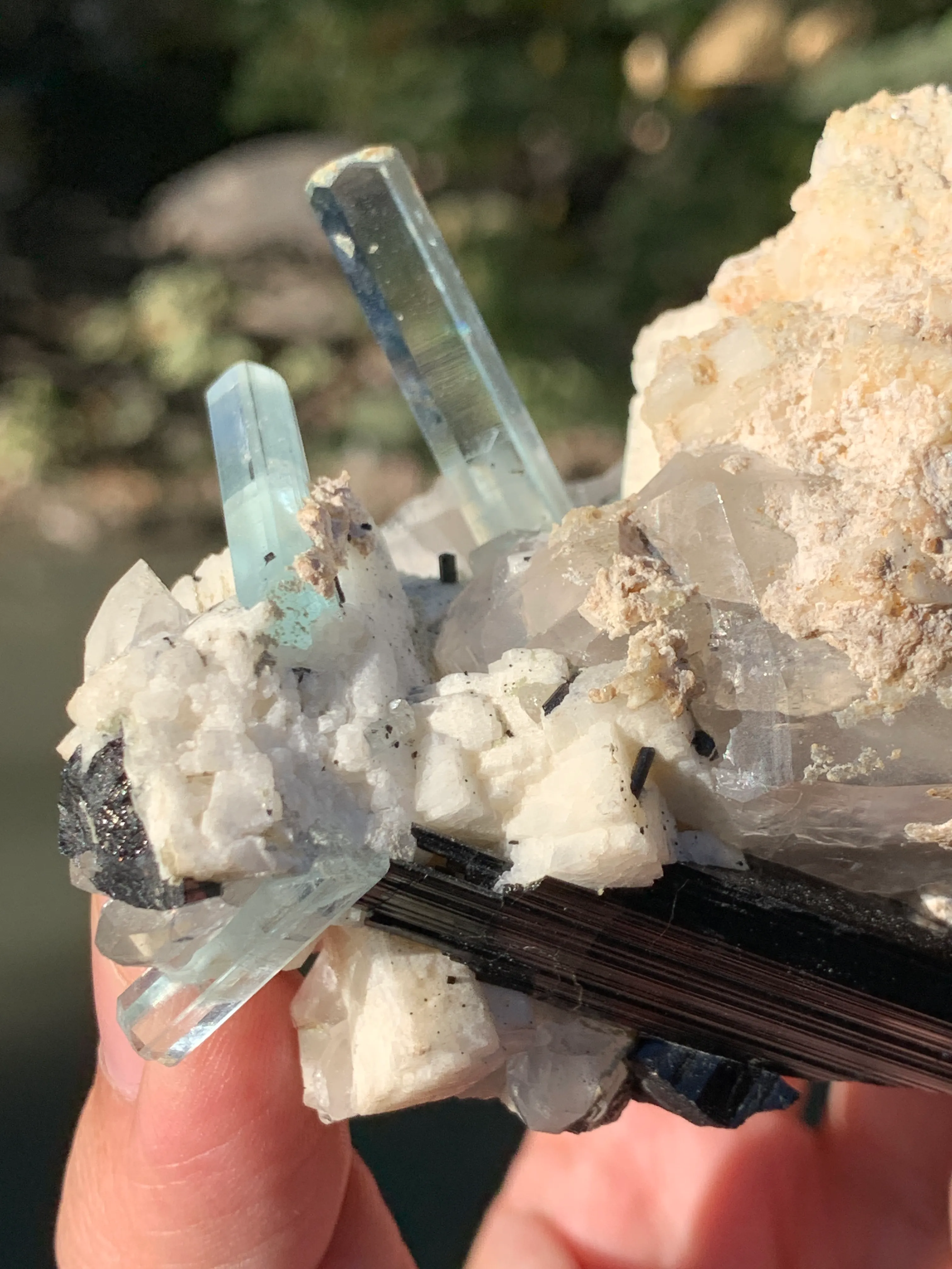 Aquamarine Crystals Naturally Grown on Matrix - image 3