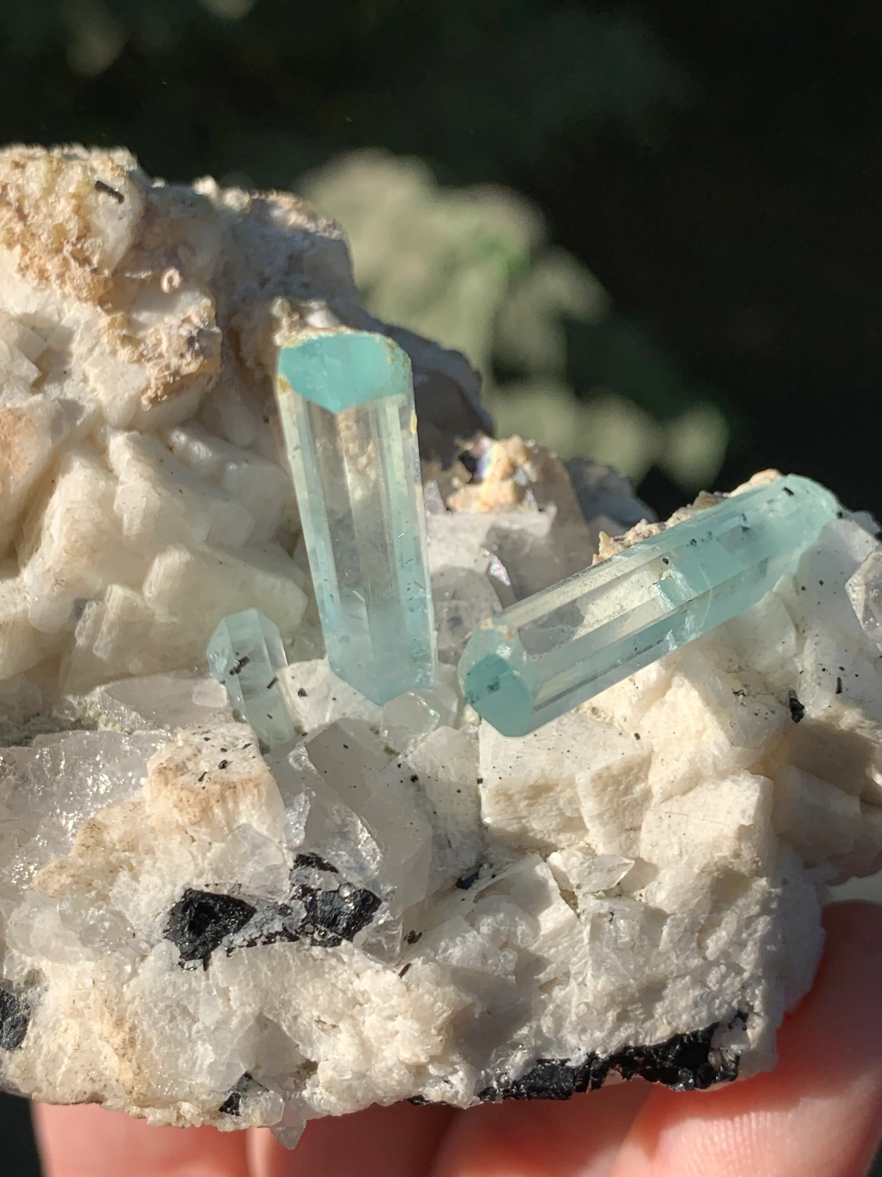 Aquamarine Crystals Naturally Grown on Matrix - image 5