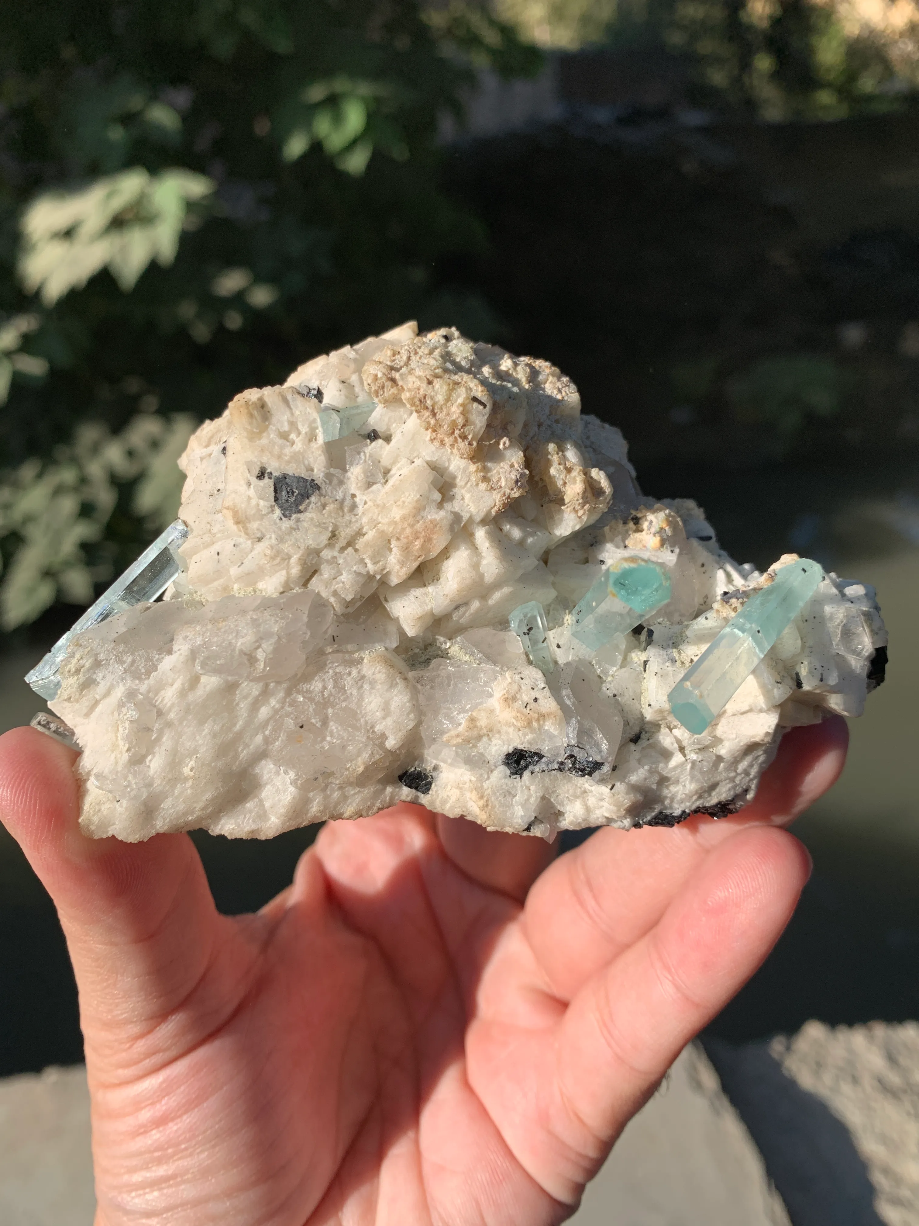 Aquamarine Crystals Naturally Grown on Matrix - image 8