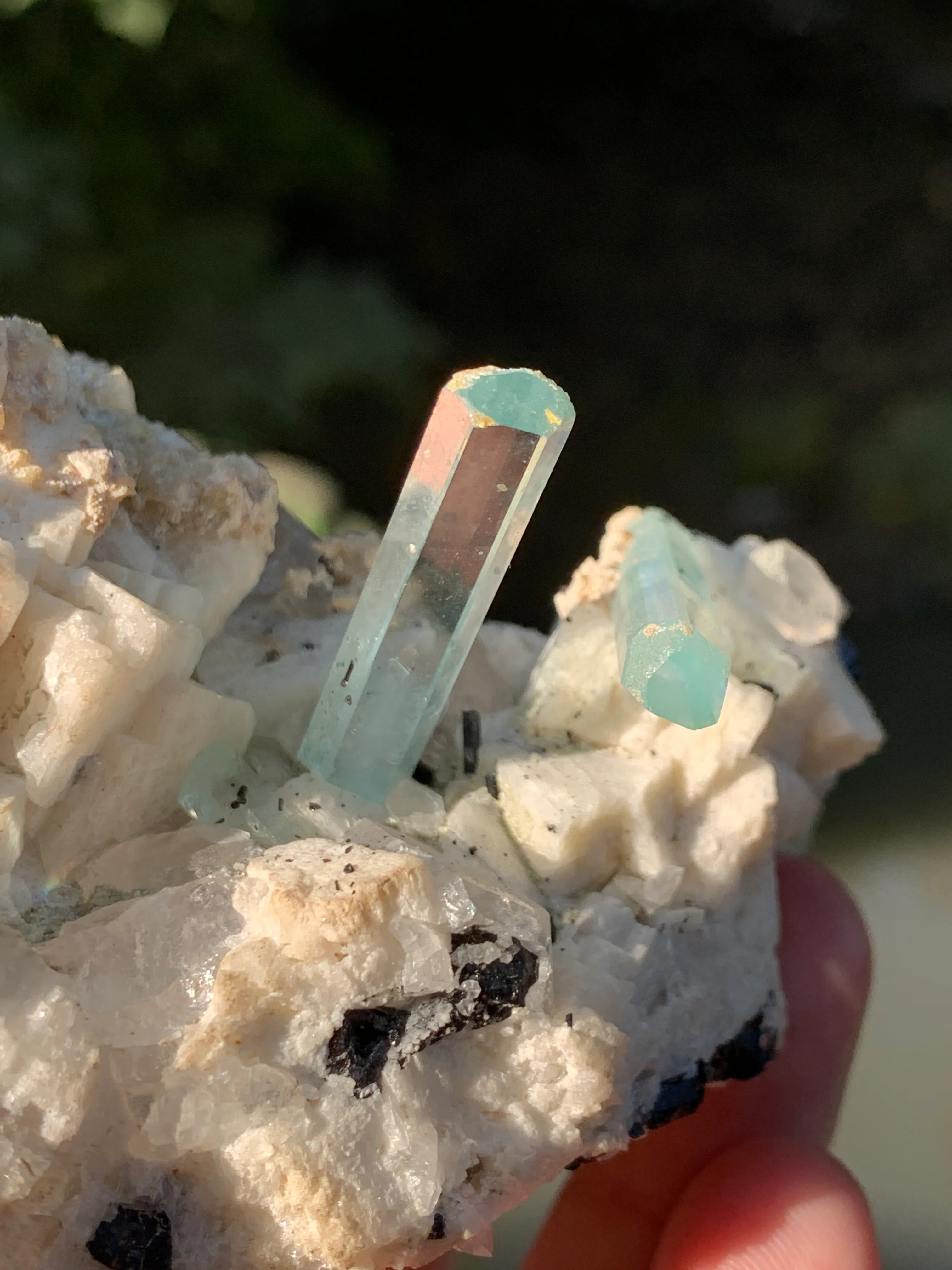 Aquamarine Crystals Naturally Grown on Matrix - image 4