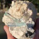 Aquamarine Crystals Naturally Grown on Matrix - image 9
