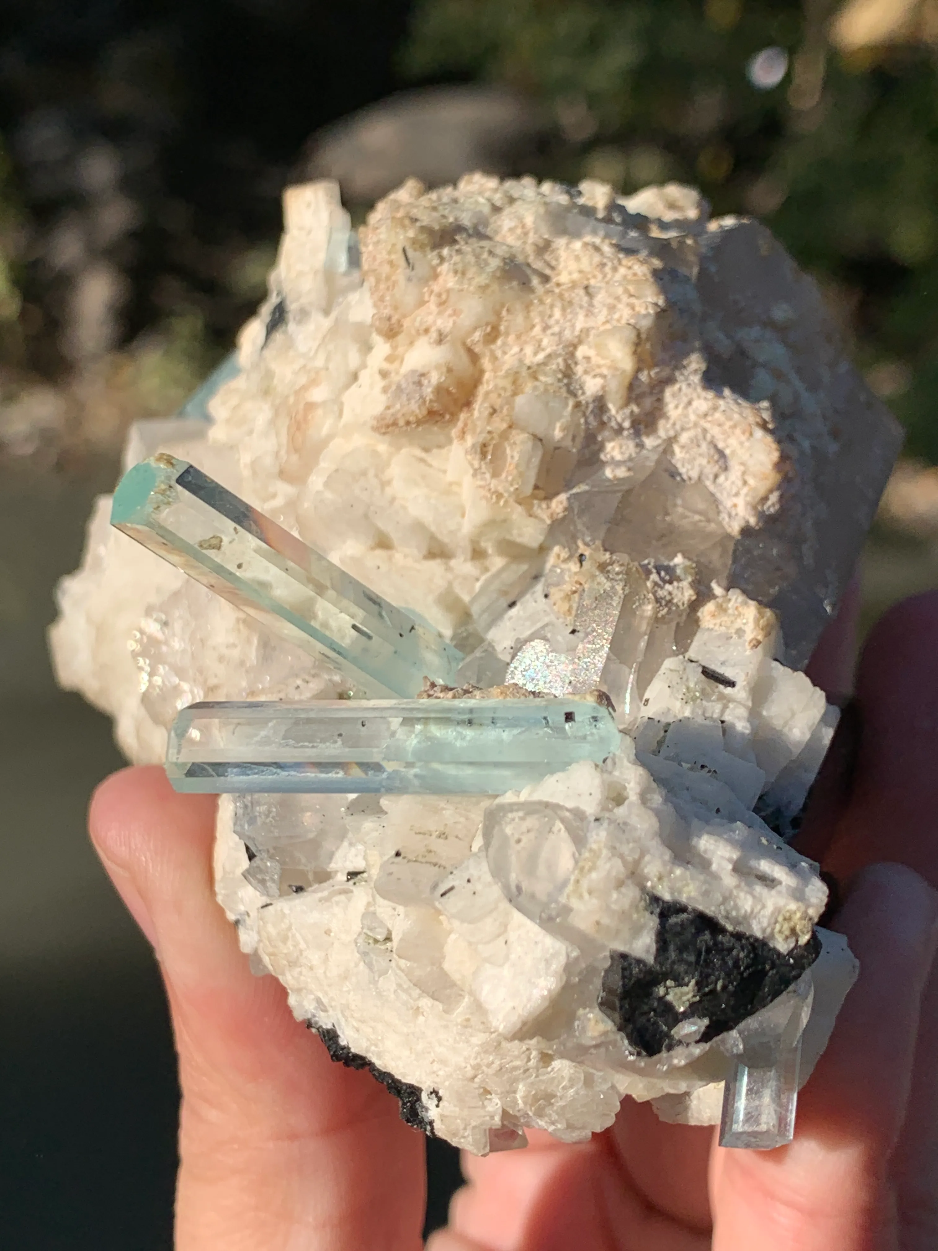 Aquamarine Crystals Naturally Grown on Matrix - image 9