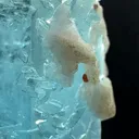 Aquamarine from Afghanistan - image 6