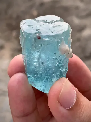 specimen video