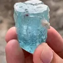 specimen video