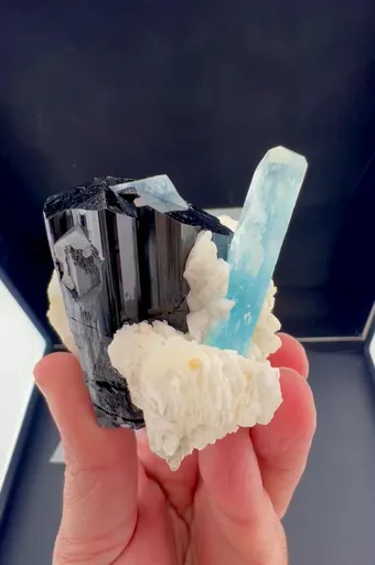 specimen video
