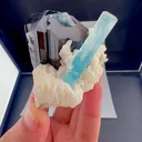 specimen video