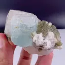 specimen video