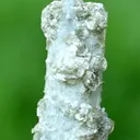 Aquamarine from Alchuri, Shigar Valley, Shigar District, Gilgit-Baltistan, Pakistan - image 3