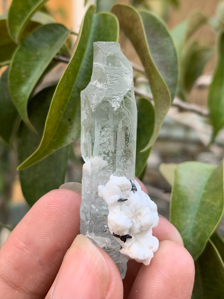 Aquamarine from Alchuri, Shigar Valley, Shigar District, Gilgit-Baltistan, Pakistan - image 2