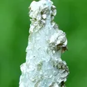 Aquamarine from Alchuri, Shigar Valley, Shigar District, Gilgit-Baltistan, Pakistan - image 8