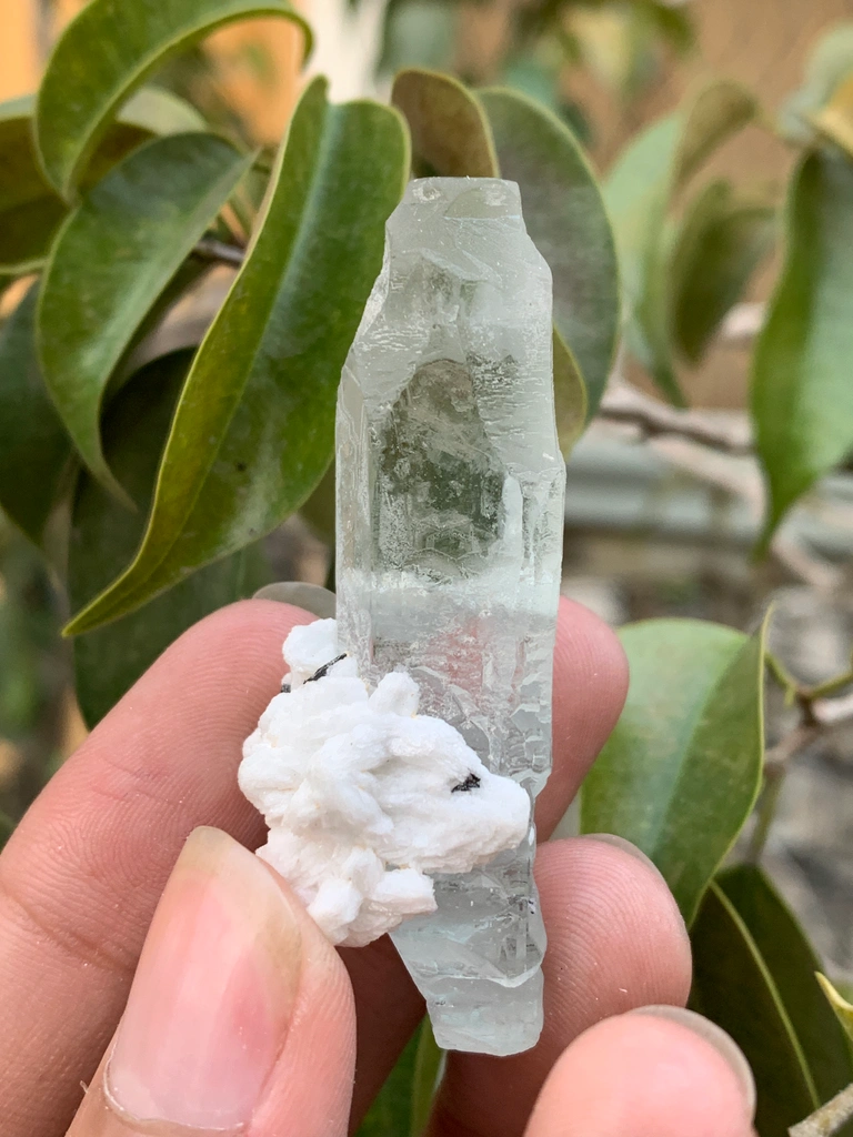 Aquamarine from Alchuri, Shigar Valley, Shigar District, Gilgit-Baltistan, Pakistan image