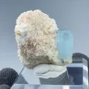 specimen video