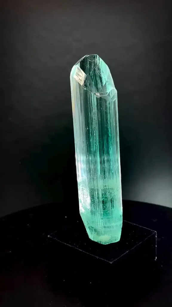 specimen video