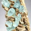 Aquamarine from Chumar Bakhoor, Nagar District, Gilgit-Baltistan, Pakistan - image 4