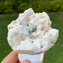 specimen video