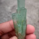 specimen video