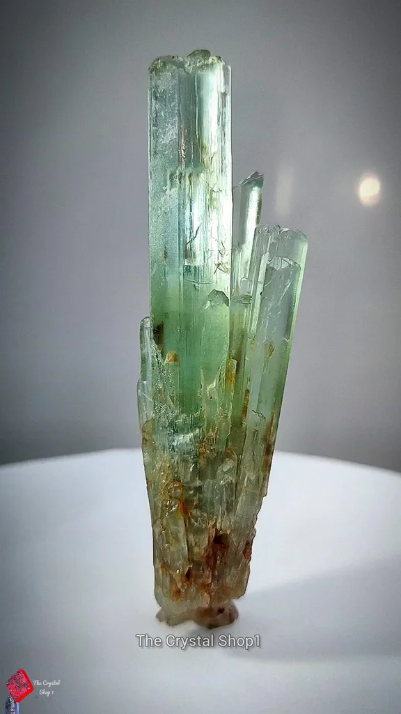 specimen video