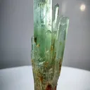 specimen video