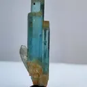 specimen video