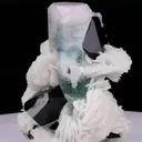 specimen video