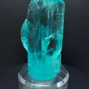 specimen video