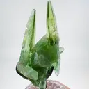 specimen video