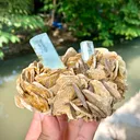 Aquamarine from Nagar, Nagar District, Gilgit-Baltistan, Pakistan - image 4