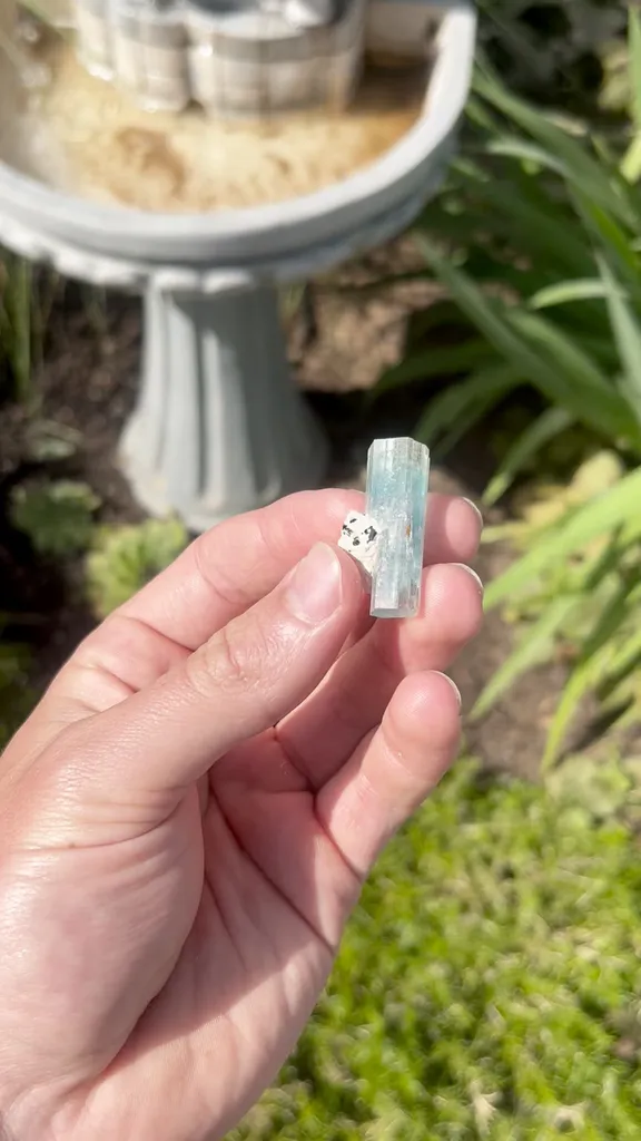 specimen video