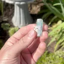 specimen video