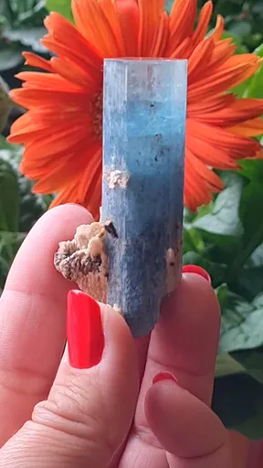 specimen video