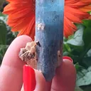 specimen video