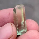 specimen video