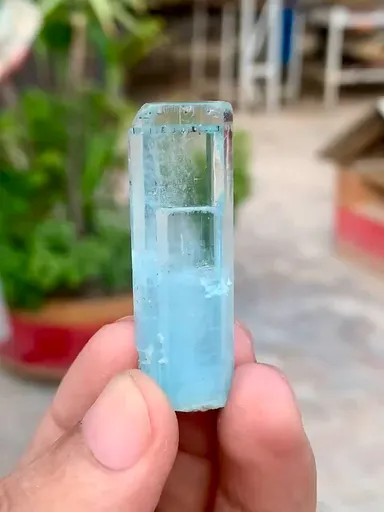 specimen video