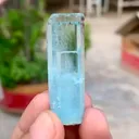 specimen video
