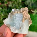 specimen video
